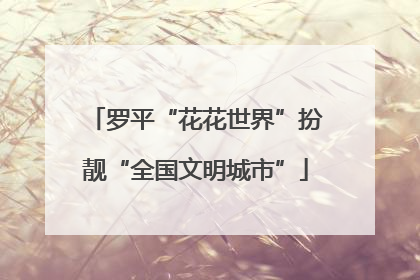 罗平“花花世界”扮靓“全国文明城市”